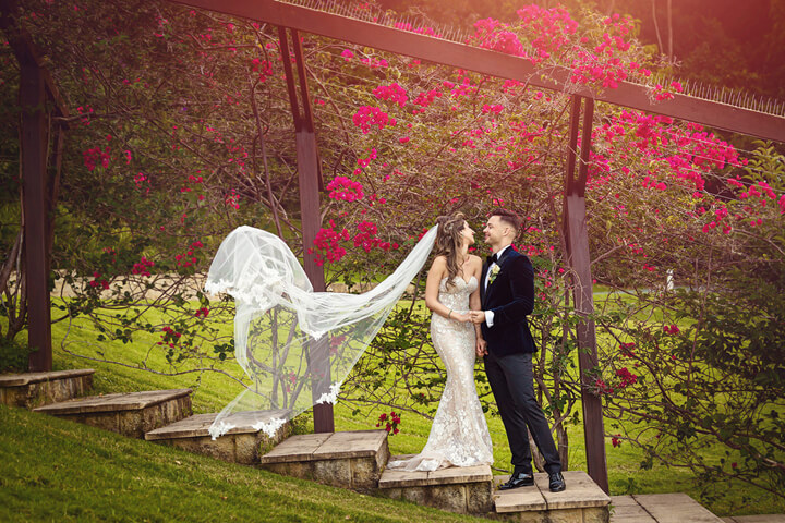 Wedding-Photographer-Carousel016.jpg